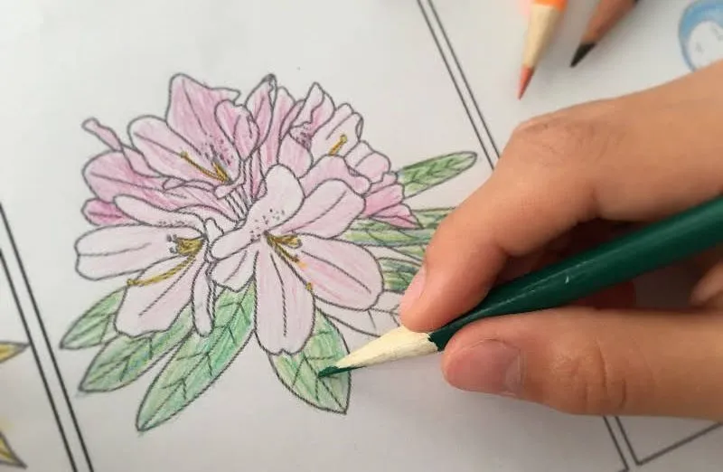 県花