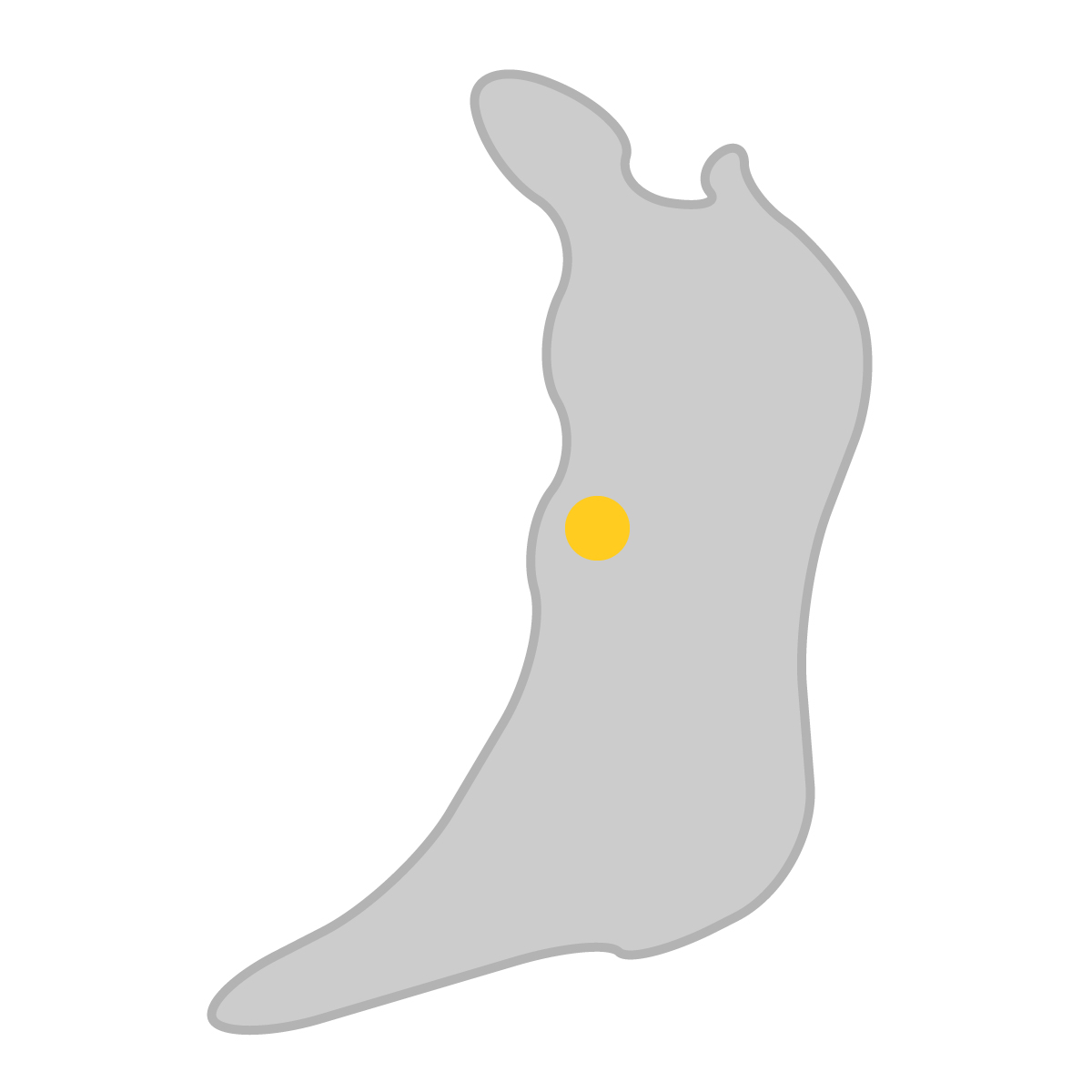 大阪府の無料フリーイラスト|簡易・県庁あり・曲線(グレー)