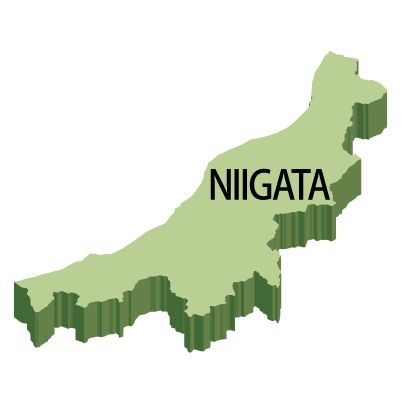 新潟県の無料フリーイラスト｜英語・都道府県名あり・立体(緑)