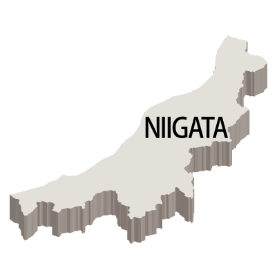新潟県の無料フリーイラスト｜英語・都道府県名あり・立体(白)
