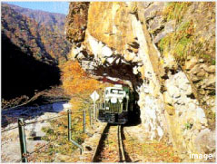特殊鉄道