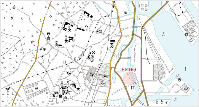 ヤシ科樹林