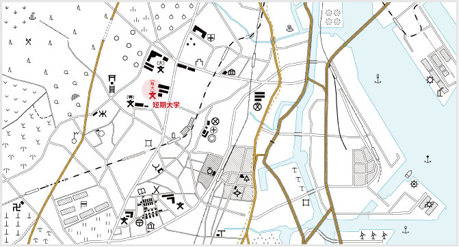 短期大学