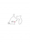 静岡県の地図イラスト フリー素材 を無料ダウンロード 静岡県の地図イラスト フリー素材 を無料ダウンロード