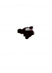 日本地図・徳島県・県庁所在地あり・ルビあり(黒)