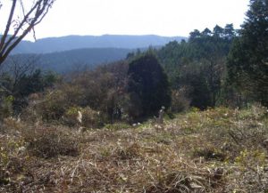 地図記号 荒地