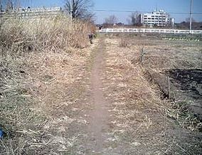 地図記号 徒歩道