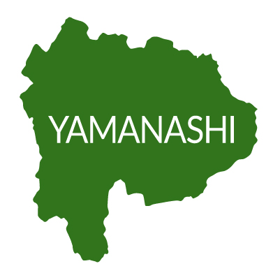 山梨県イラストマップ県名英語（緑）