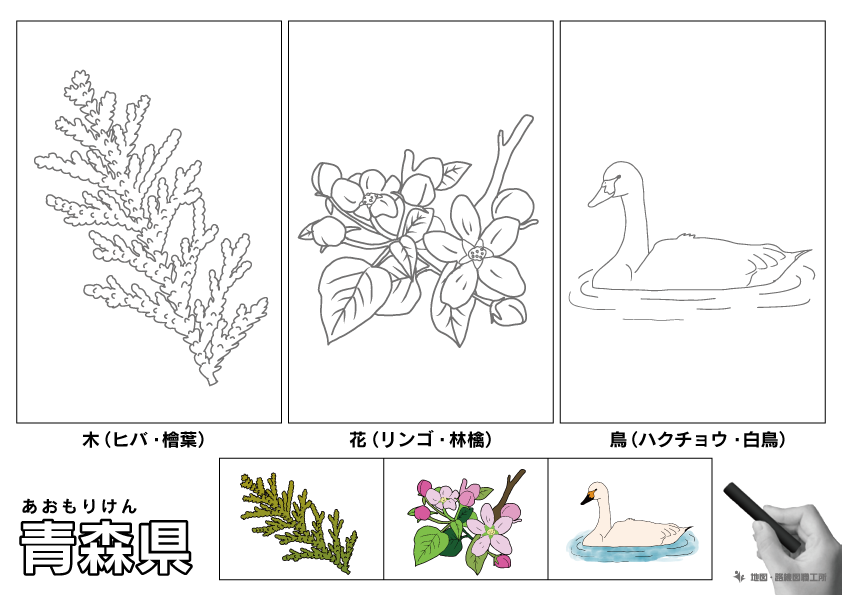 青森県の県木・県花・県鳥のぬりえイラスト