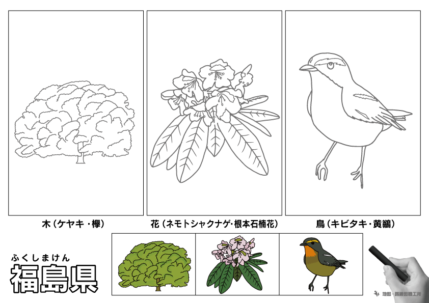 福島県の 県木 県花 県鳥 ぬりえ イラストを無料ダウンロード