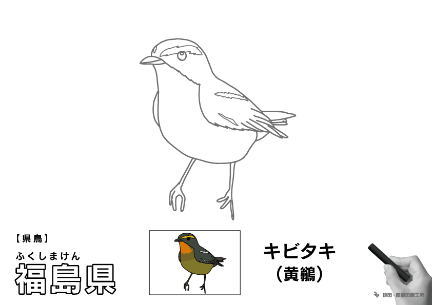 県鳥 福島県 キビタキ(黄鶲)のイラスト・ぬりえ