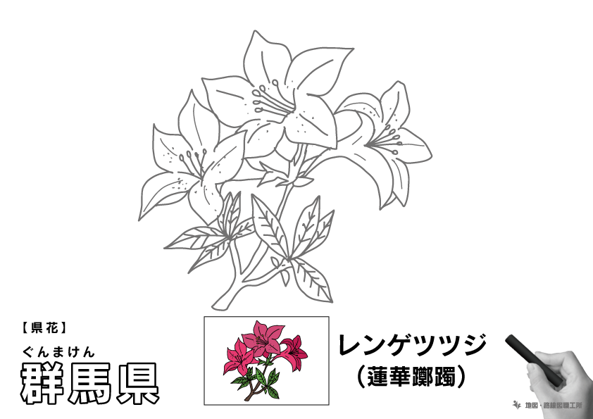 県花 群馬県 レンゲツツジ(蓮華躑躅)のイラスト・ぬりえ
