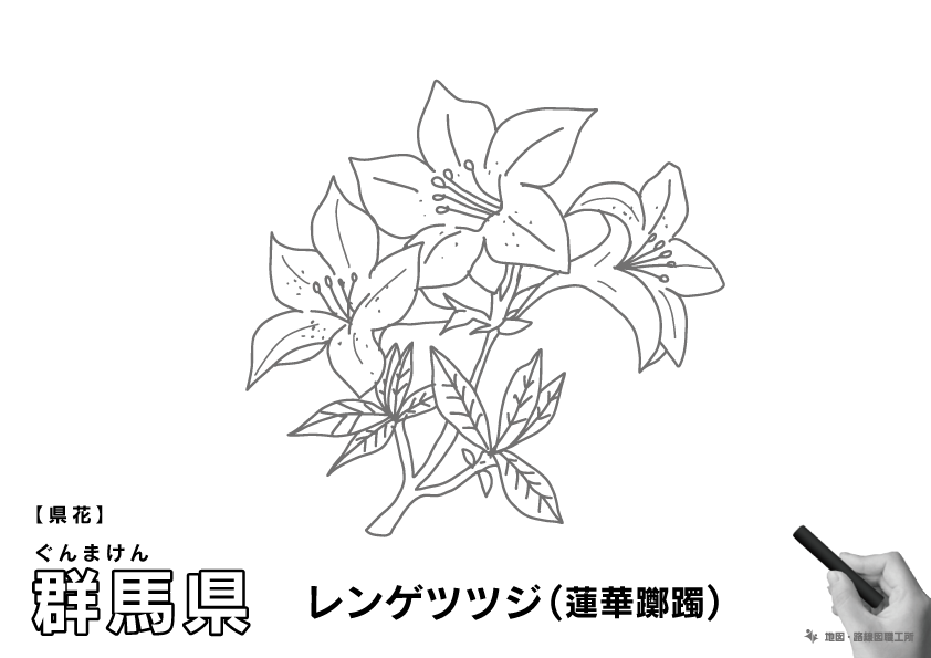 県花 群馬県 レンゲツツジ(蓮華躑躅)のイラスト・ぬりえ