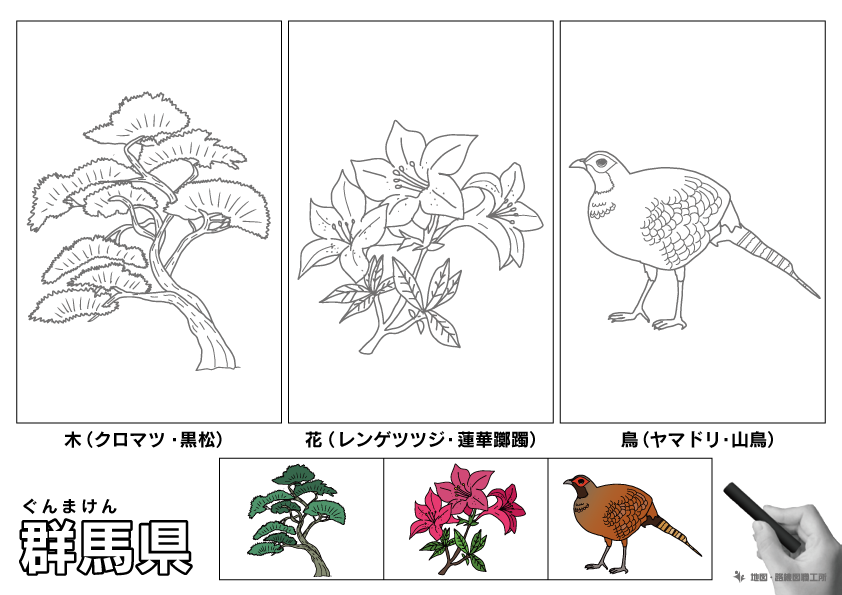 群馬県 県木 県花 県鳥 のイラスト・ぬりえ