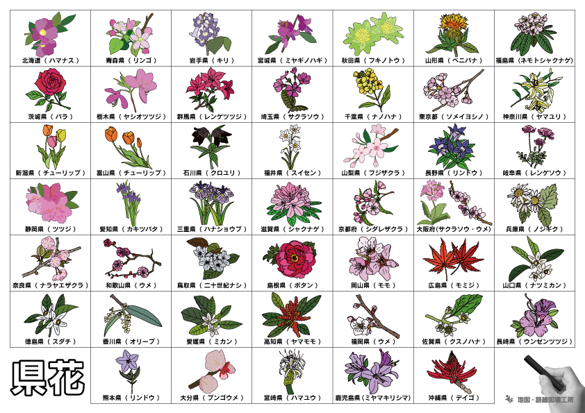 都道府県の県花一覧