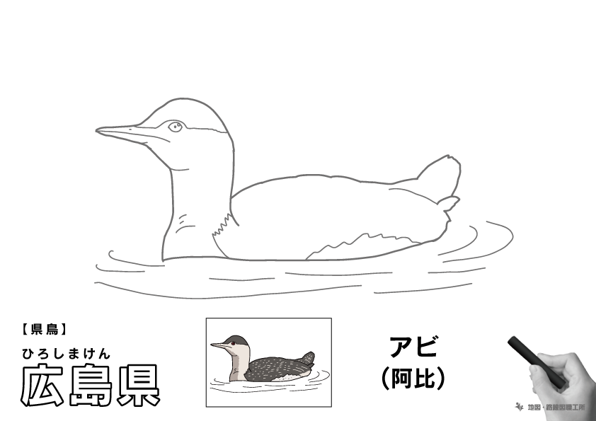 県鳥 広島県 アビ(阿比)のイラスト・ぬりえ
