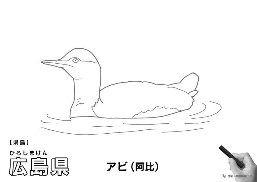 県鳥 広島県 アビ(阿比)のイラスト・ぬりえ