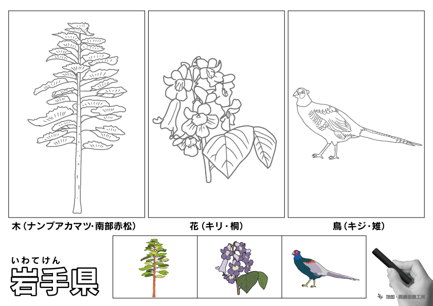 岩手県の県木・県花・県鳥のぬりえイラスト