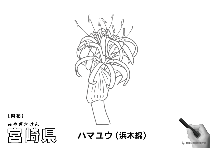 宮崎県の 県木 県花 県鳥 ぬりえ イラストを無料ダウンロード