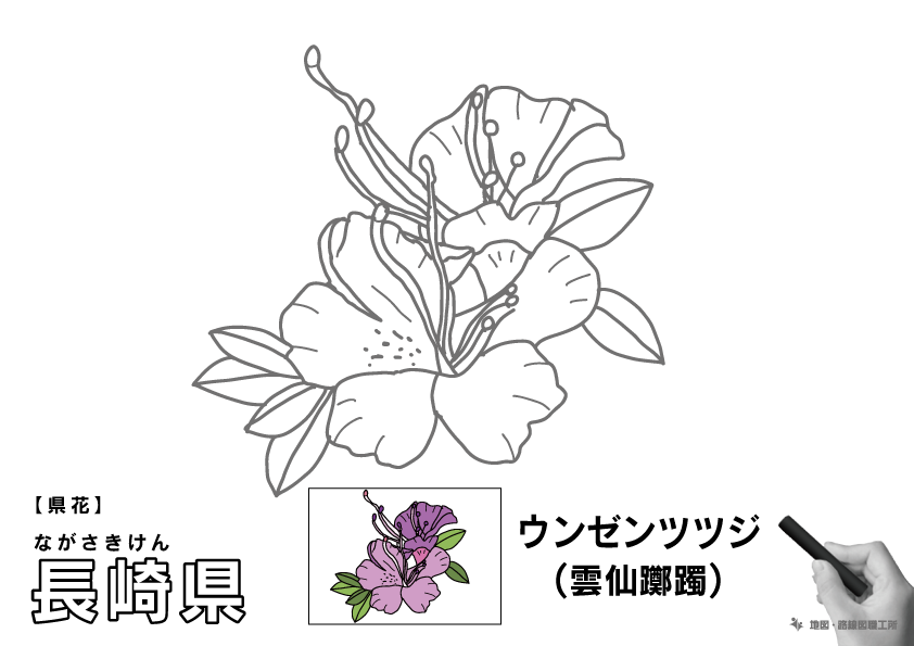 県花 長崎県 ウンゼンツツジ(雲仙躑躅)のイラスト・ぬりえ