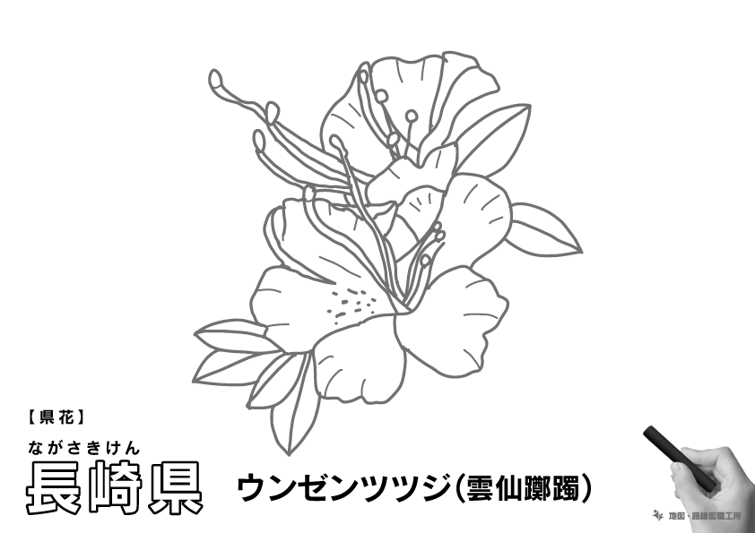 県花 長崎県 ウンゼンツツジ(雲仙躑躅)のイラスト・ぬりえ