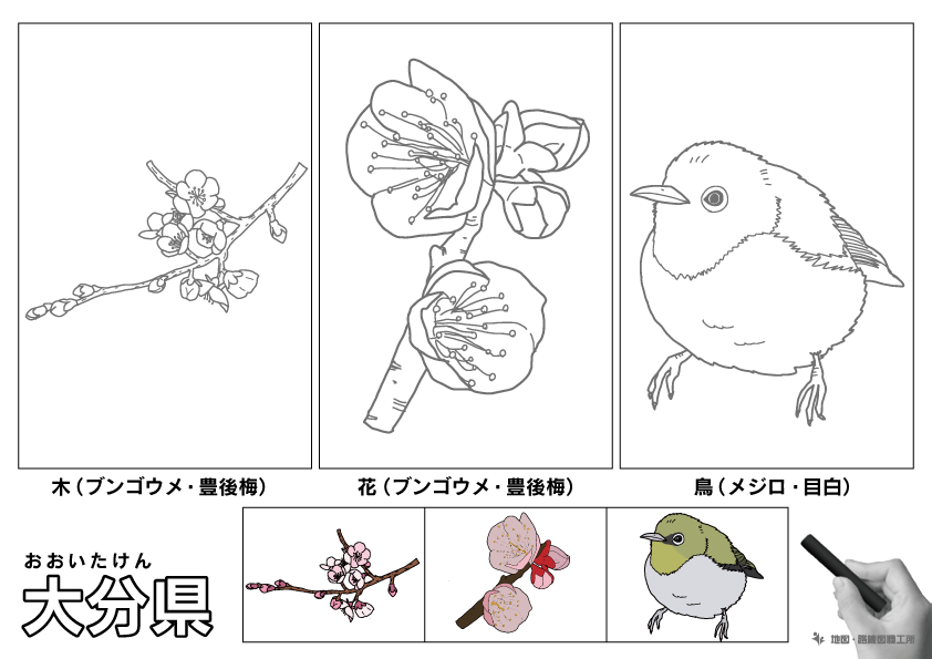 大分県の 県木 県花 県鳥 ぬりえ イラストを無料ダウンロード