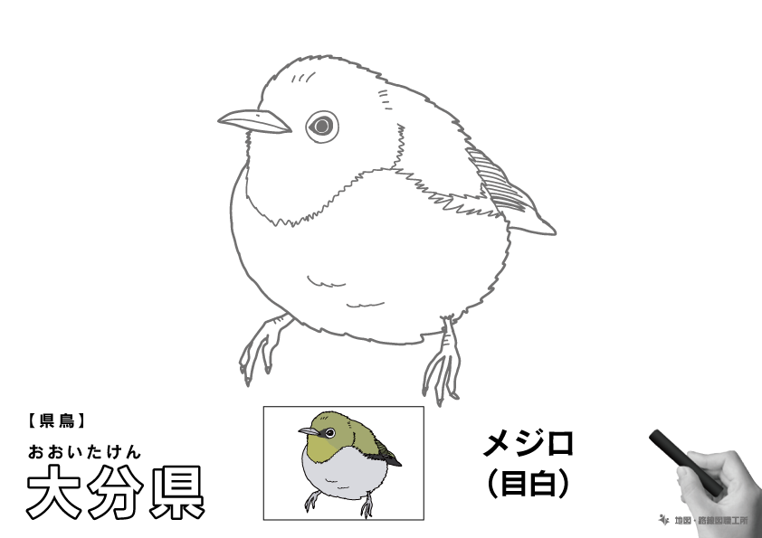 県鳥 大分県 メジロ(目白)のイラスト・ぬりえ