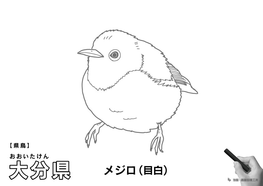 県鳥 大分県 メジロ(目白)のイラスト・ぬりえ