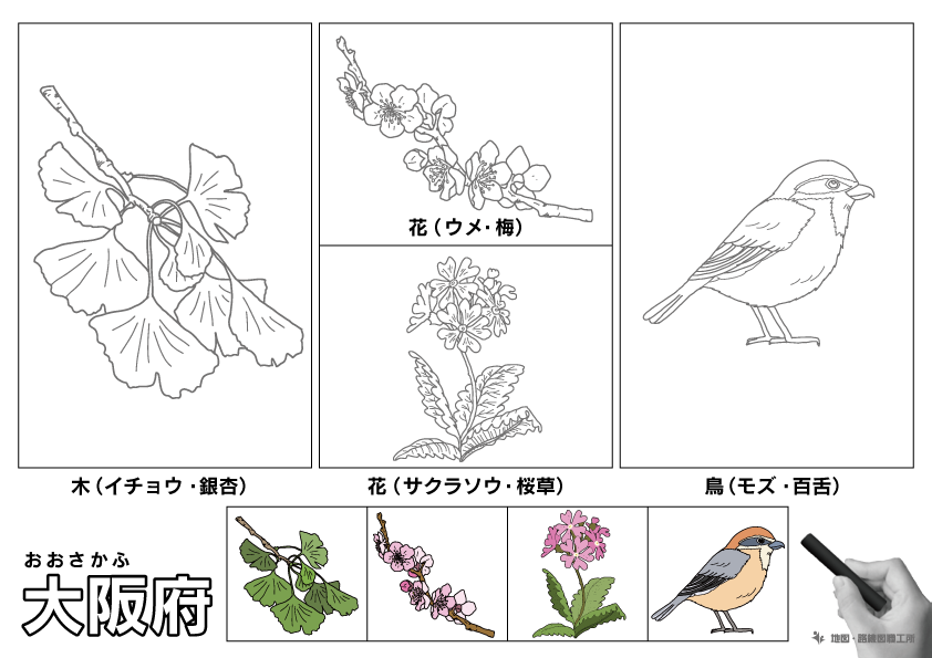 大阪府 県木 県花 県鳥 のイラスト・ぬりえ