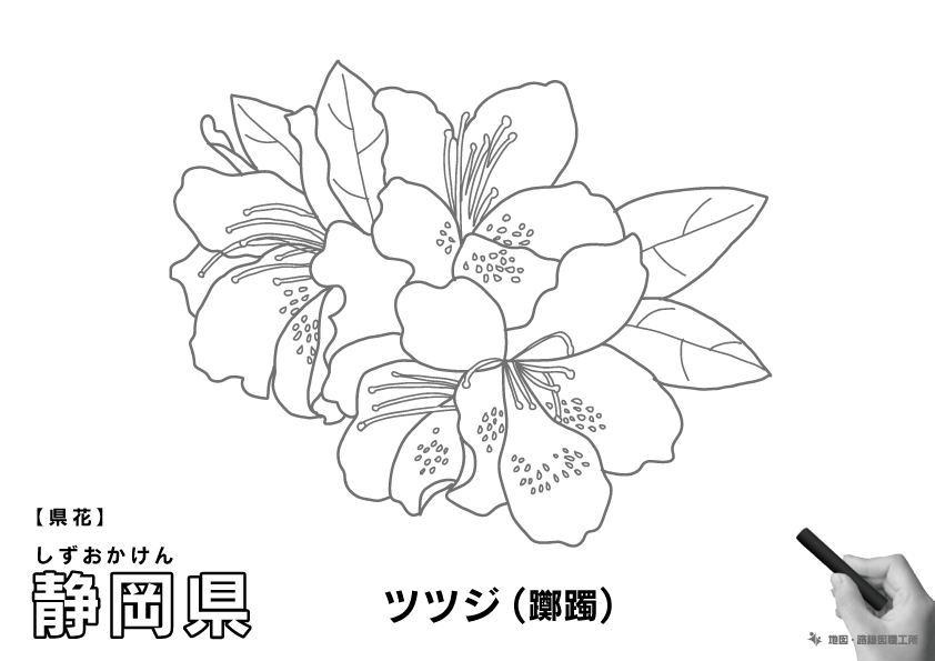 県花 静岡県 ツツジ(躑躅)のイラスト・ぬりえ