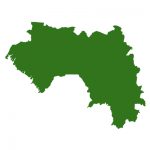 無地(緑)