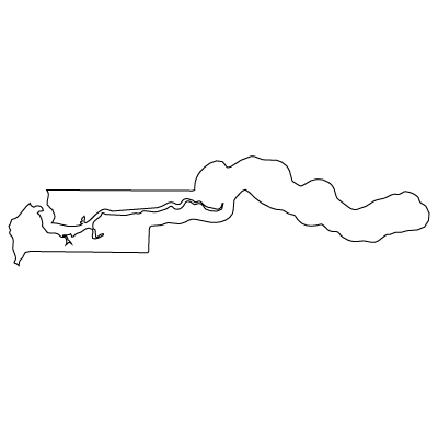 無地(白)