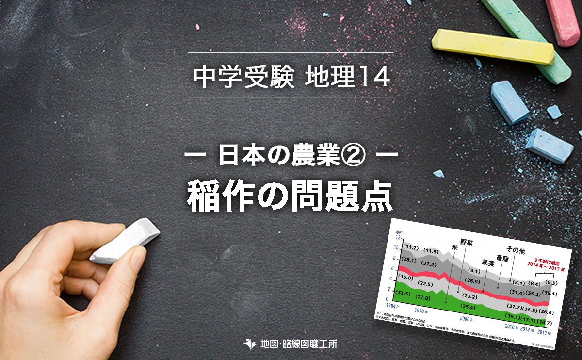 中学受験 地理 日本の農業 稲作の問題点